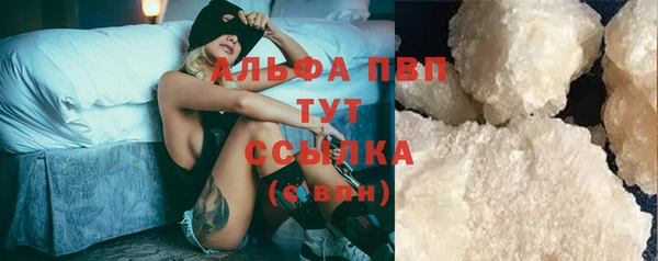 прущие грибы Дмитриев