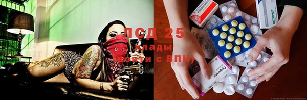 гашик Дмитров