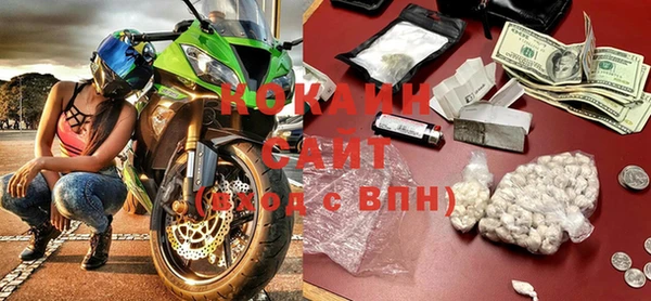 гашик Дмитров