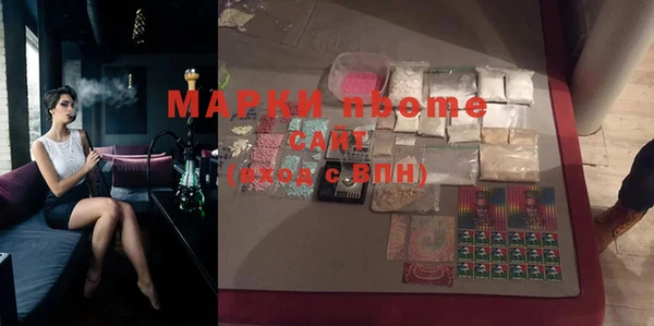 гашик Дмитров