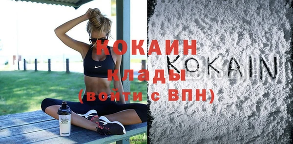 гашик Дмитров