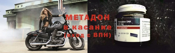 прущие грибы Дмитриев