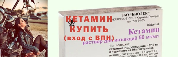 гашик Дмитров