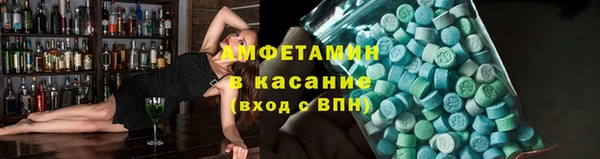 прущие грибы Дмитриев