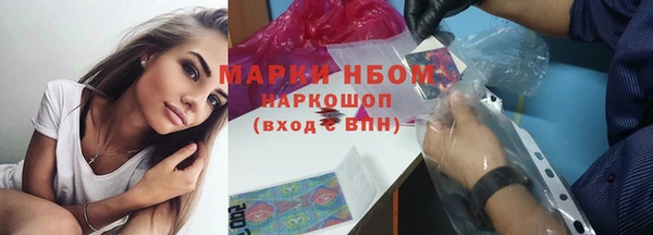 гашик Дмитров