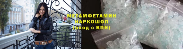 прущие грибы Дмитриев
