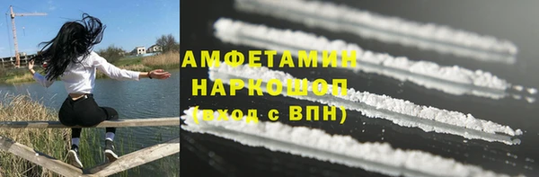 прущие грибы Дмитриев
