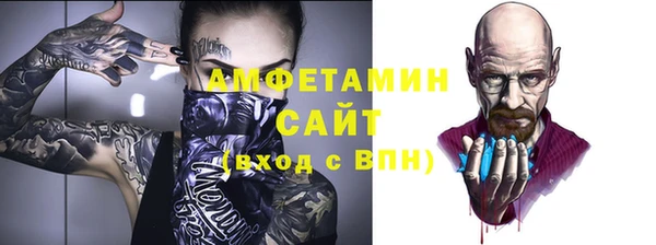 гашик Дмитров