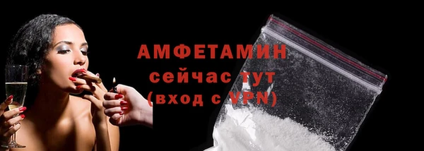 гашик Дмитров