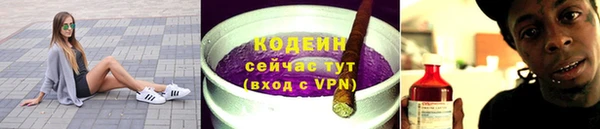 гашик Дмитров