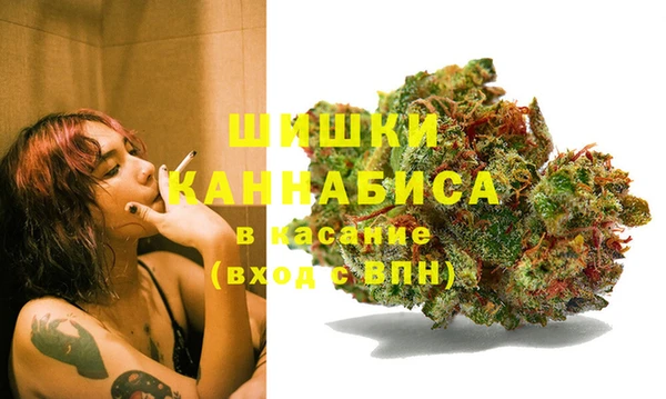 гашик Дмитров