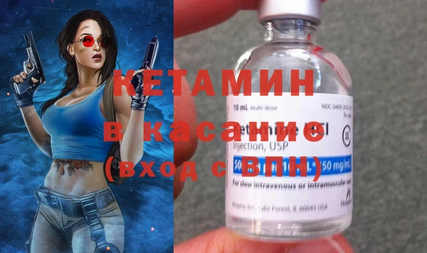 прущие грибы Дмитриев
