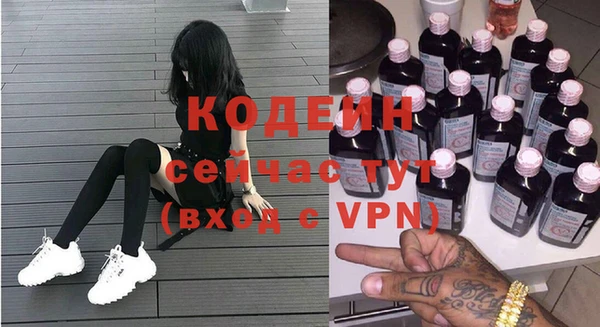 гашик Дмитров