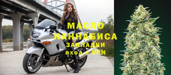 гашик Дмитров