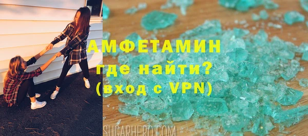 гашик Дмитров