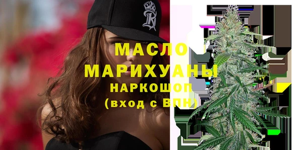 гашик Дмитров