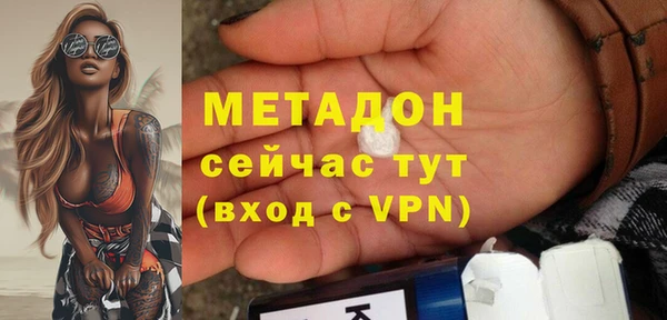прущие грибы Дмитриев