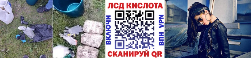 купить  сайты  Новоржев  ЛСД экстази кислота 