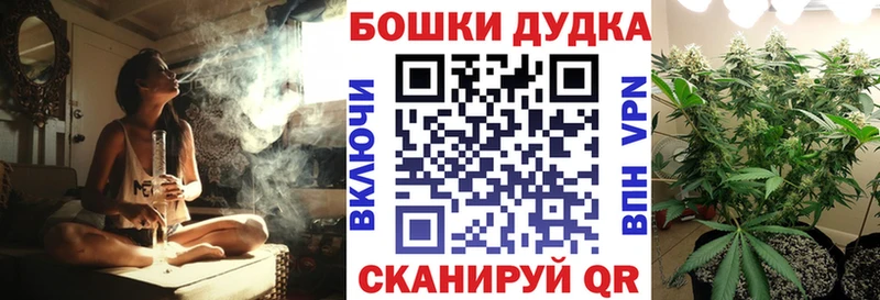 закладки  Новоржев  Канабис индика 